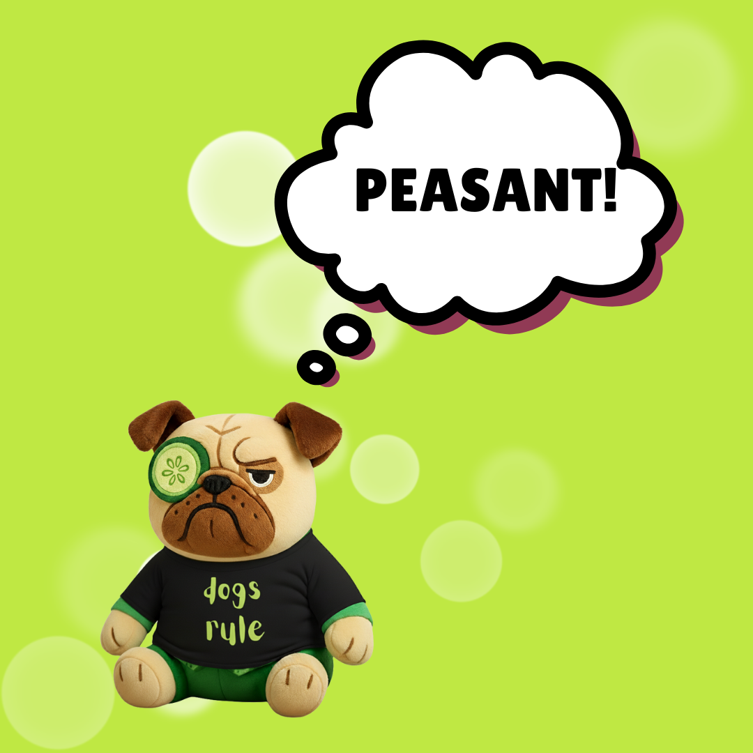 What Dogs Really Mean | Dog Behaviour Explained by Sir Cucumber Dog ...